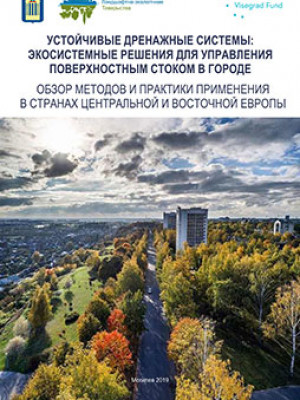 Sustainable drainage systems: Ecosystem solutions for surface wastewater control in the city